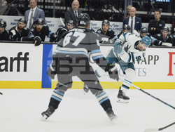 Sharks Utah Hockey
