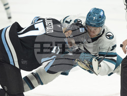 Sharks Utah Hockey