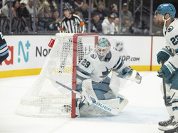 Sharks Utah Hockey