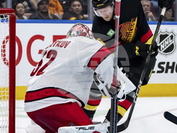 Hurricanes Canucks Hockey