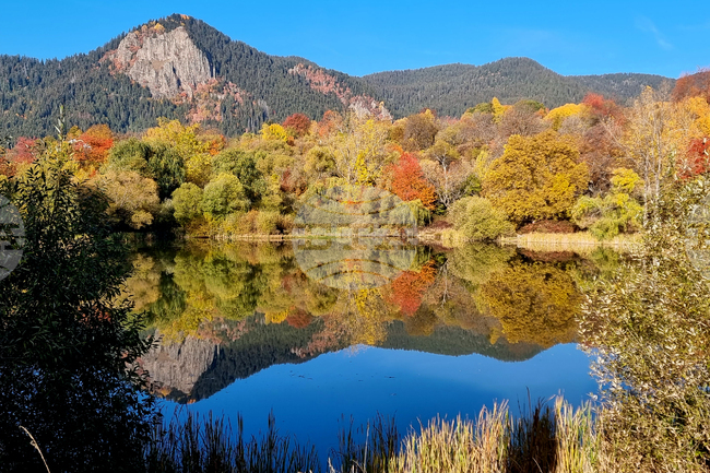 Прогноза за времето 