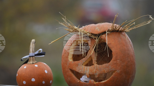 Виенчани ще похарчат 16 милиона евро за Хелоуин, показва проучване