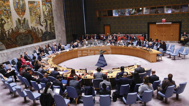 Няколко държави са поискали свикването на спешно заседание на Съвета за сигурност на ООН във връзка с плана на Израел да превземе град Газа 