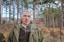 Хисаря - теренна проверка - борова процесионка