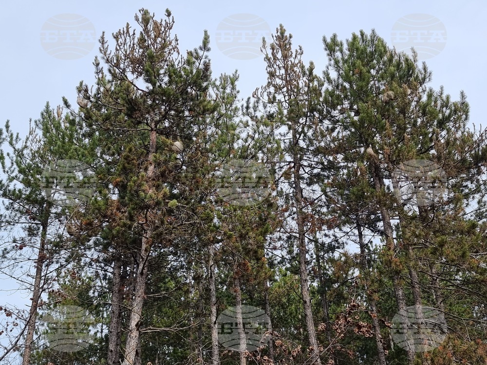 Ловният сезон в Босилеградско приключи