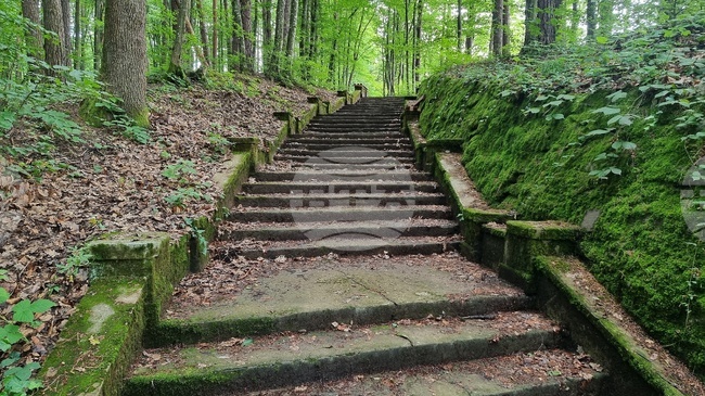 Община Вършец ще кандидатства с партньор от Сърбия за финансиране на трансграничен проект