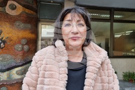  Пловдив - Регионална здравна инспекция (РЗИ) - брифинг 