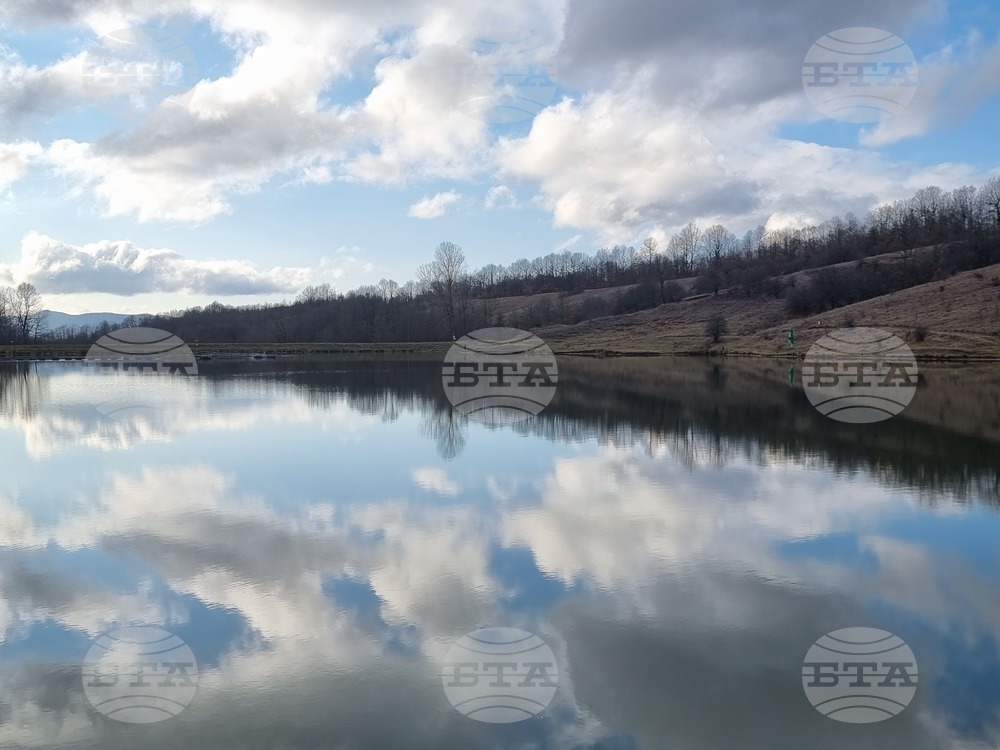 За първи път от 13 години е установен морски орел край водоемите около Велико Търново