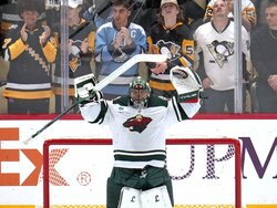 Wild Penguins Hockey