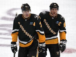 Wild Penguins Hockey
