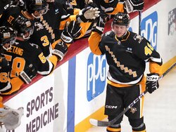 Wild Penguins Hockey