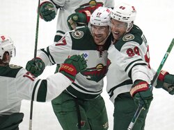 Wild Penguins Hockey