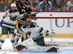 Wild Penguins Hockey