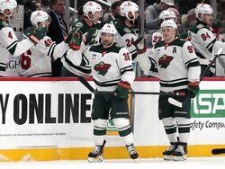 Wild Penguins Hockey