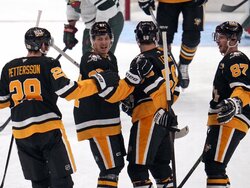 Wild Penguins Hockey