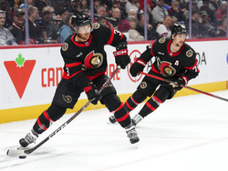 Blues Senators Hockey