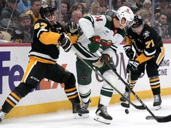 Wild Penguins Hockey
