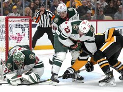 Wild Penguins Hockey