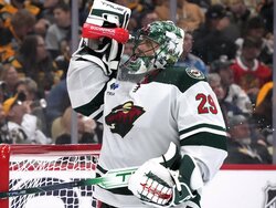 Wild Penguins Hockey