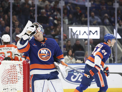 Ducks Islanders Hockey