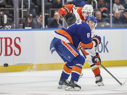 Ducks Islanders Hockey
