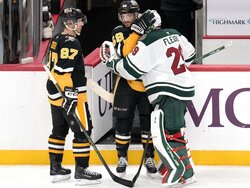 Wild Penguins Hockey
