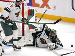 Wild Penguins Hockey
