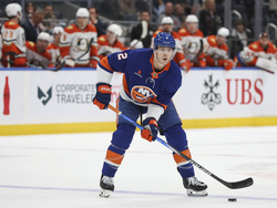 Ducks Islanders Hockey