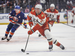 Ducks Islanders Hockey