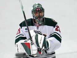Wild Penguins Hockey