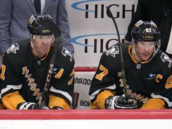 Wild Penguins Hockey