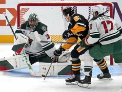 Wild Penguins Hockey