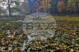 "Борисова градина" - есенно утро