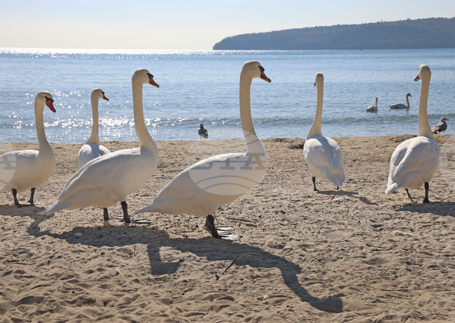 The Weather on January 8