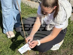 Снимка: Столична община, район Банкя