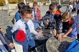 Разград - музей - инициативи