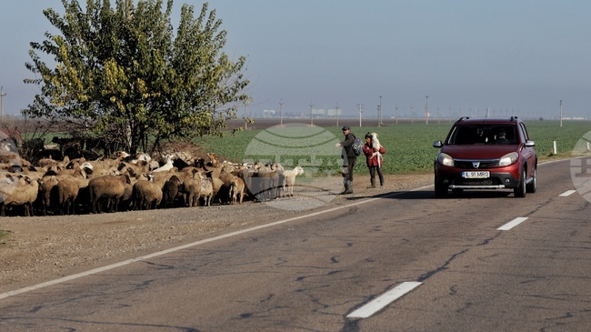 Около 1200 души ще бъдат съкратени тази година в завода на „Дачия“ в Румъния, съобщиха синдикалисти