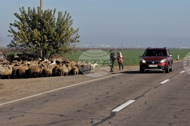 Заводът на „Дачия“ в Румъния ускорява роботизацията; програма предлага компенсации за служители, които доброволно напуснат работа