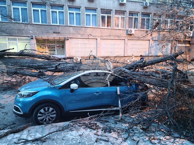 Силен вятър - щети