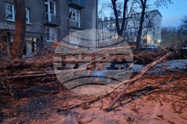 Силен вятър - щети