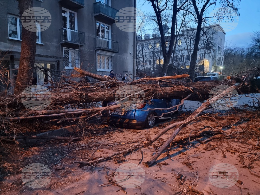 Силен вятър - щети