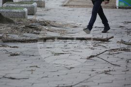 Силен вятър