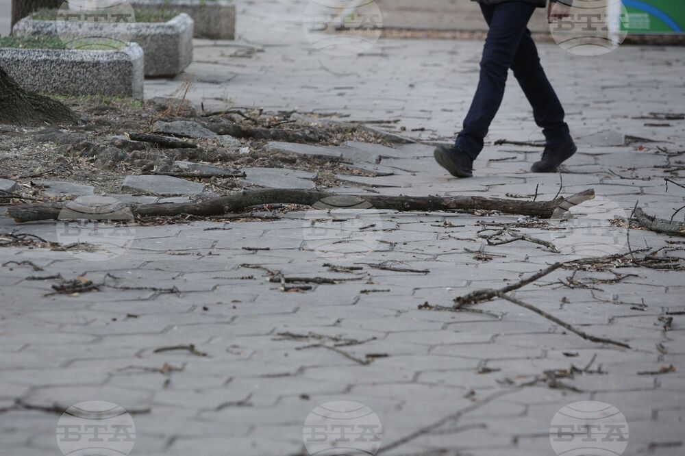 Силен вятър