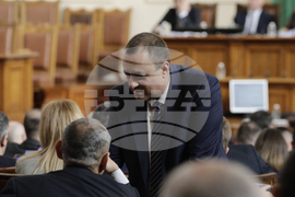 Парламент - заседание - Иван Иванов