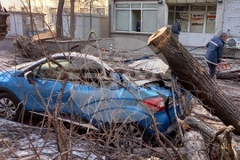 Силен вятър - щети