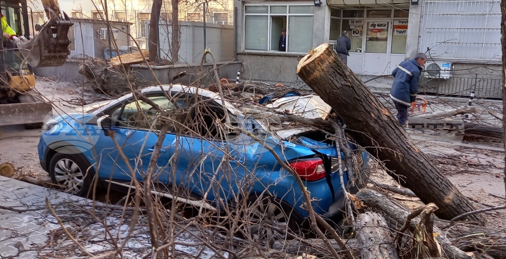 Силен вятър - щети