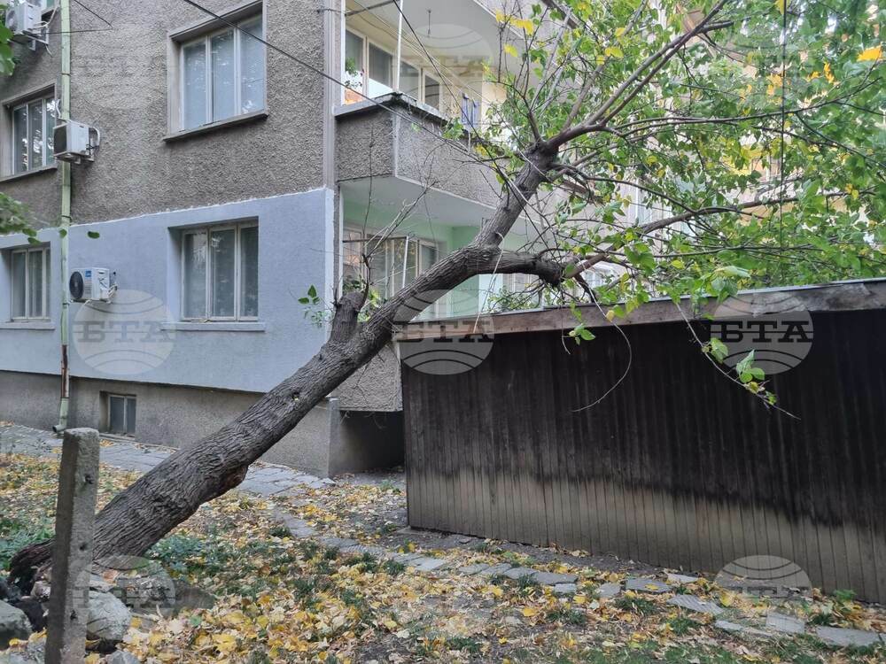 Скоростта на вятъра в Търговище е над 15 метра в секунда