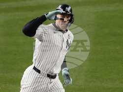 World Series Baseball