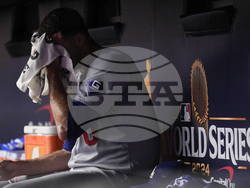 World Series Baseball
