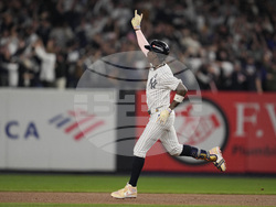 World Series Baseball